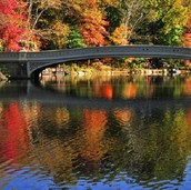 central park