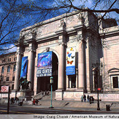 museum of natural history